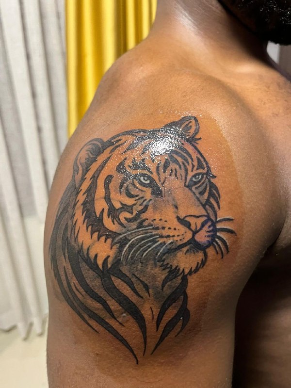 Tiger colour